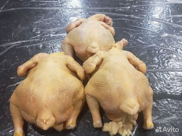 Куры свежие халяль