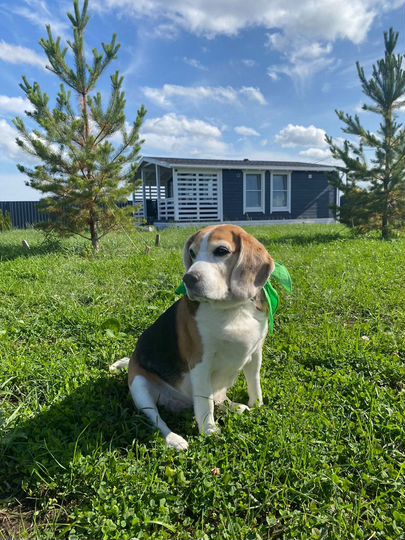 Дом 59 м² на участке 14 сот.