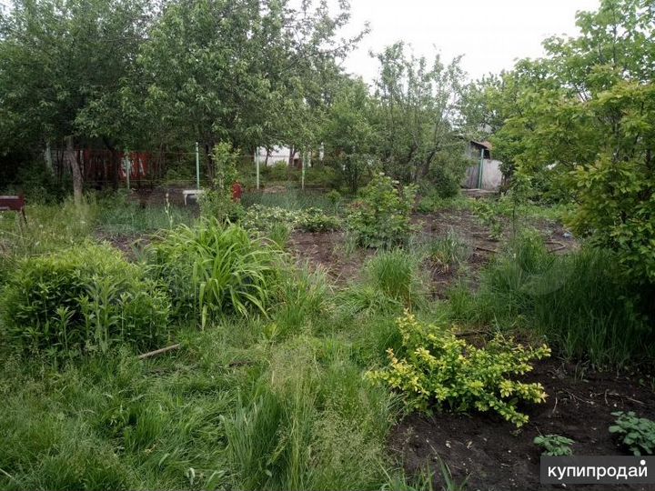 Участок 6,5 сот. (СНТ, ДНП)