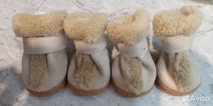 Обувь зимняя для собак