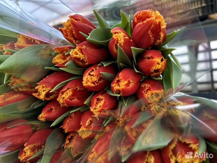 Букет из тюльпанов к 8 марта розница