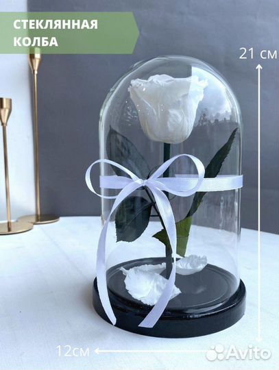Роза в колбе