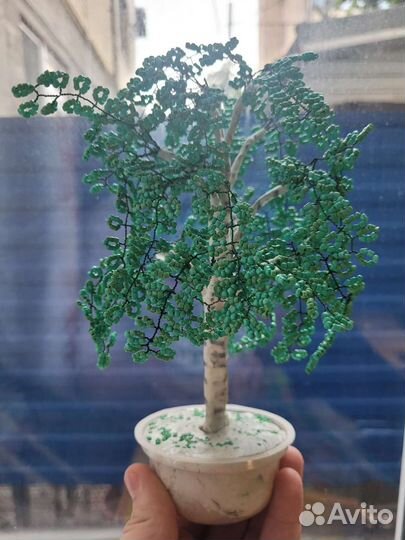 Декоративная берёза