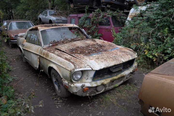 Сдать Автомобиль на металлолом Авторазборку