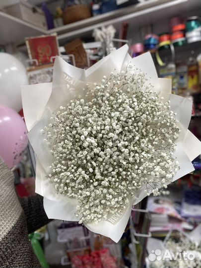 Цветы гипсофила