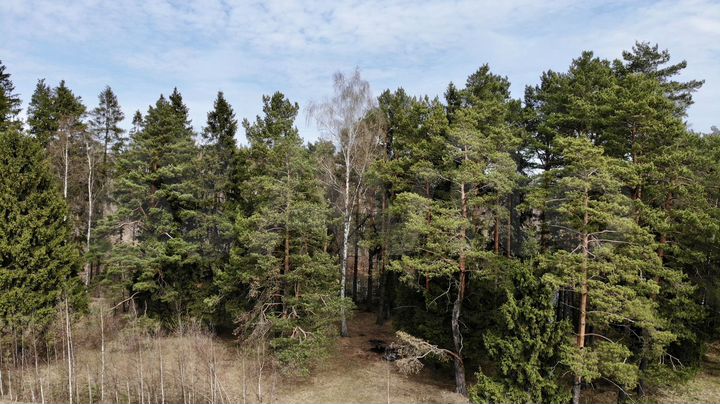 Участок 6 сот. (ИЖС)