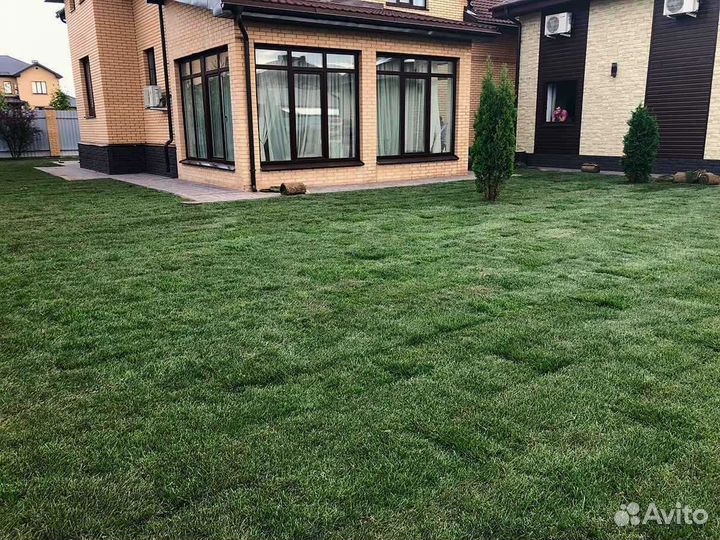 Укладка и продажа рулонного газона