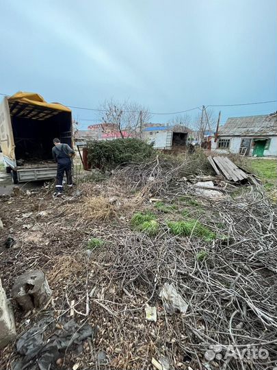 Вывоз мусора хлама веток