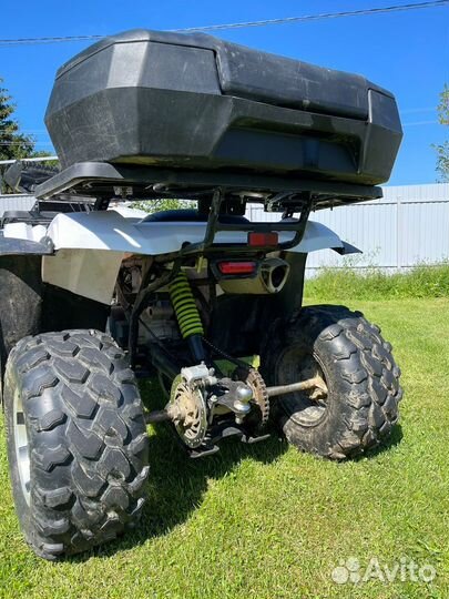 Avantis Hunter 200 NEW premium