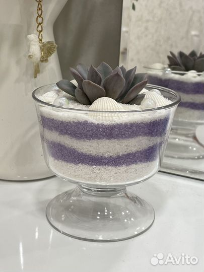 Композиция с живым суккулентом в подарок