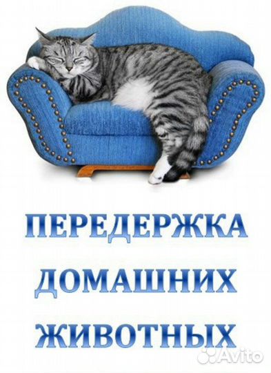 Передержка на время отпуска