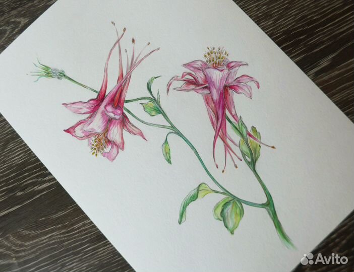 Картина / постер 