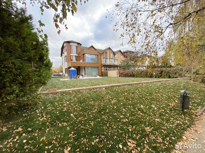 Рулонный газон 