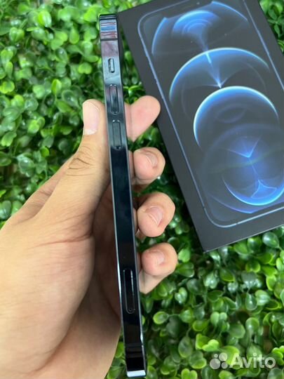 iPhone 12 Pro, 256 ГБ