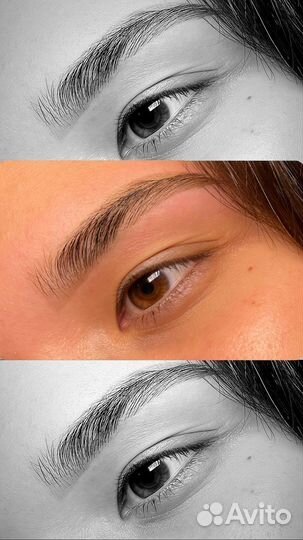 Мастер бровист