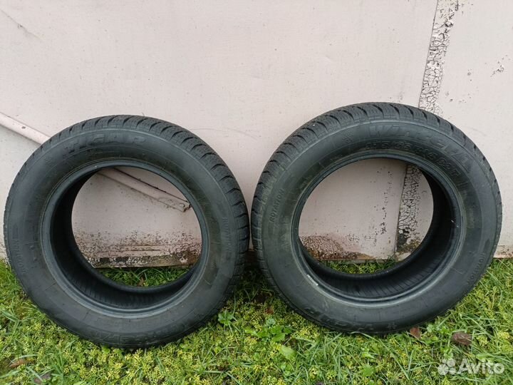 Tigar Winter 175/65 R14 82T