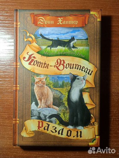 Коты-Воители: Месть Звёздного Луча. Разлом