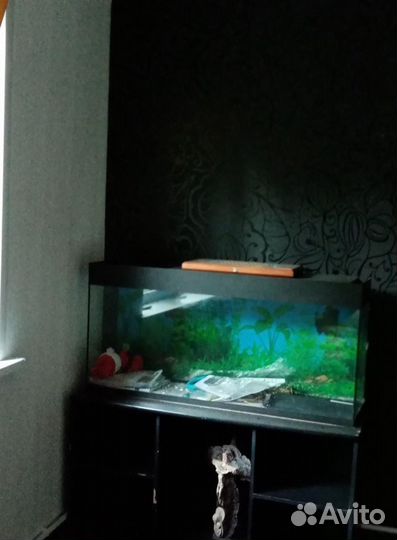 Аквариум
