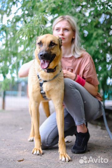 Лео молодой мальчик в добрые руки