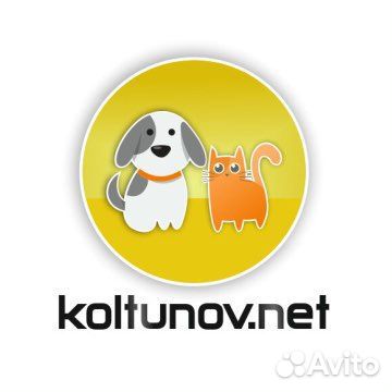Стрижка кошек