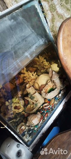 Аквариум для рыбок