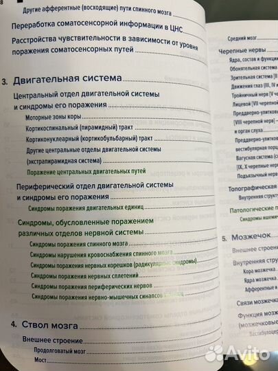 Топический диагноз по Петеру Дуусу