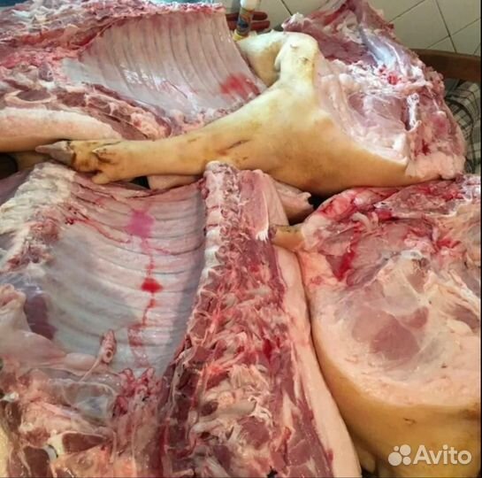 Продам мясо свинина