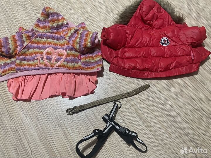 Вещи для собак