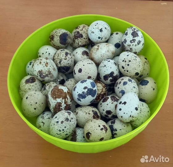 Яйца перепелиные домашние и инкубационное