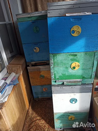 Ульи дадан 10 рамочный