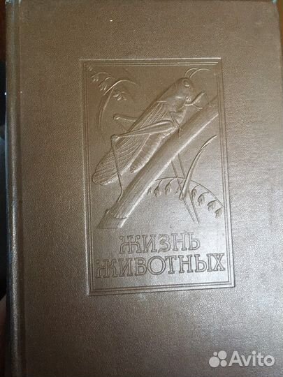 Жизнь животных по Брэму