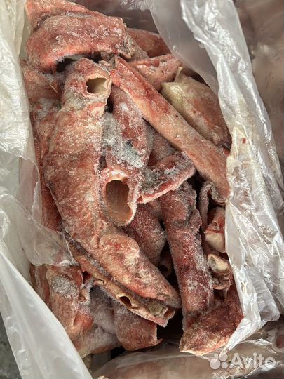 Шеи индейки крупные