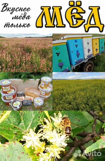 Мед с личной пасеки донниковый, липовый, соты и тд