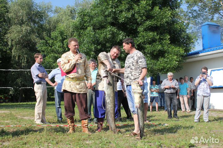 Ведущий тамада