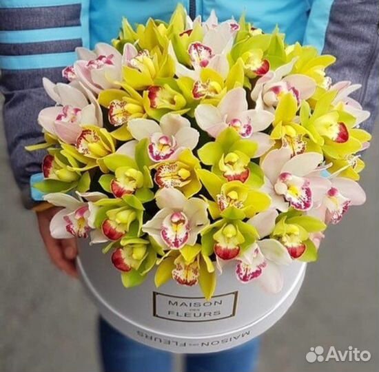 Фито картины