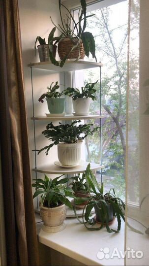 Угловая полка для растений
