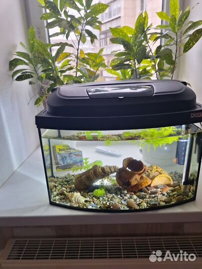 Аквариум 35-40л