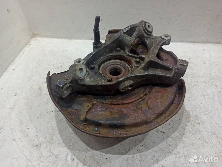 Кулак задний левый