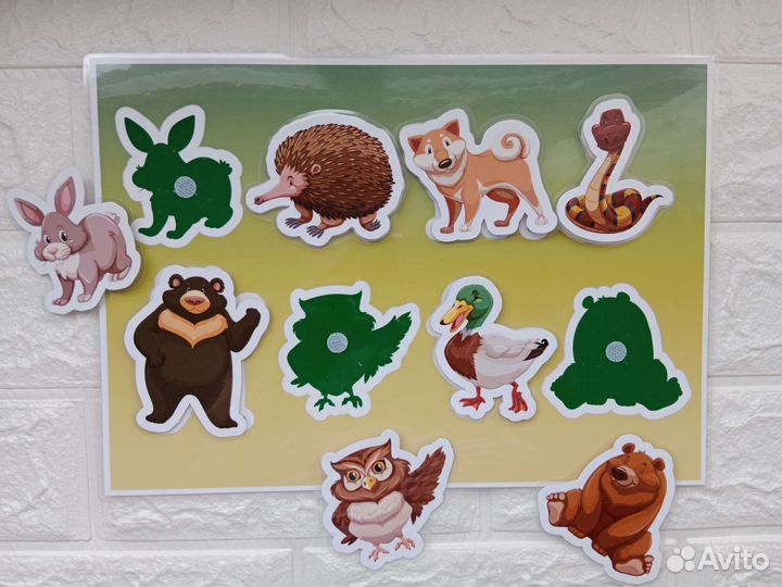 Развивающие карточки