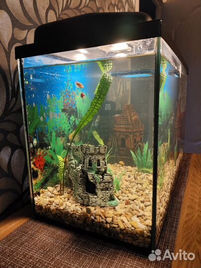 Аквариум с рыбками 50л