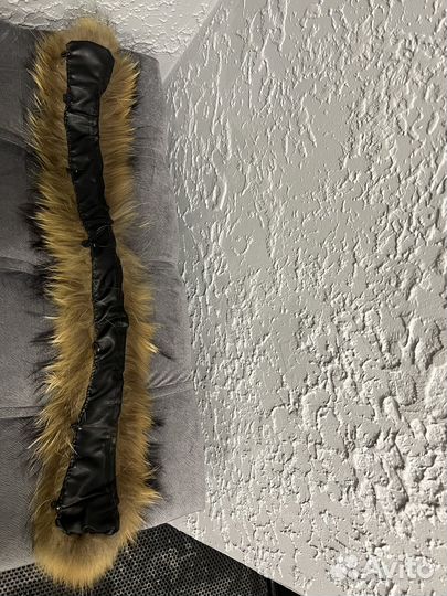 Воротник,опушка, Енот