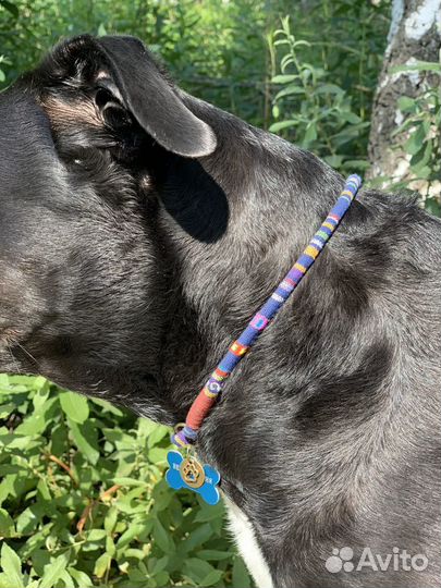 Ошейник для адресника For Dogs&Cats ручная работа