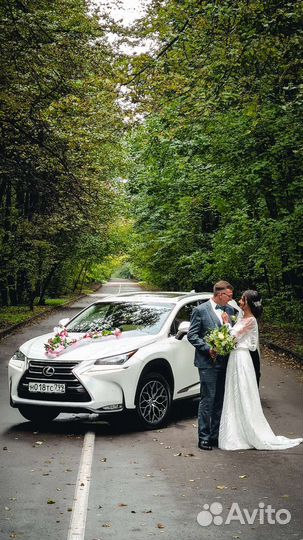 Видеооператор на свадьбу/свадебное видео/Видеограф