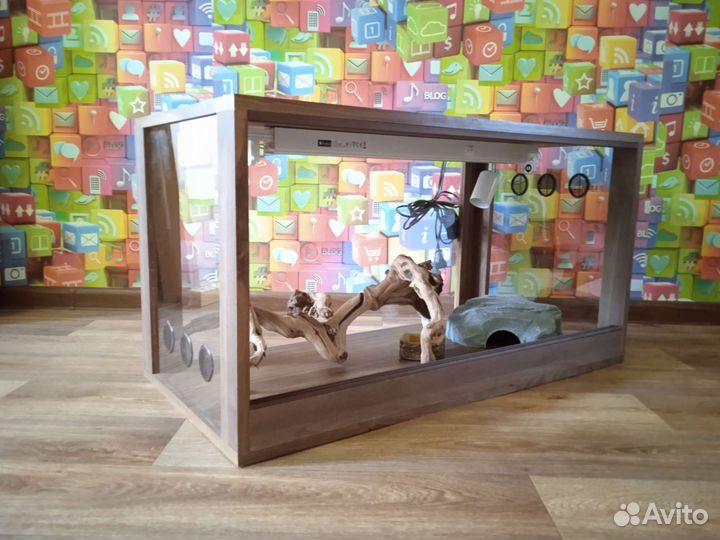 Хамелеон/ Бородатая агама/ эублефор/ Террариум