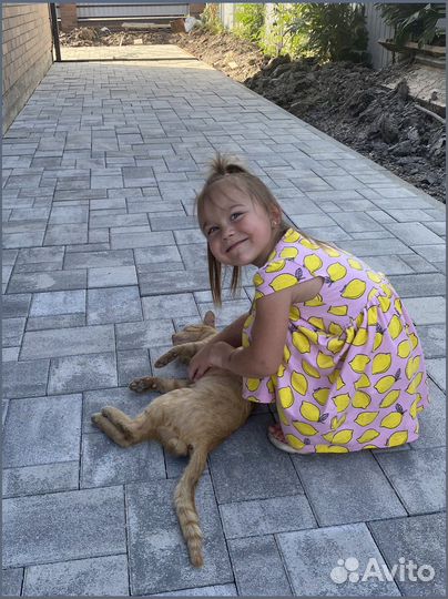 Тротуарная плитка вибропрессованная