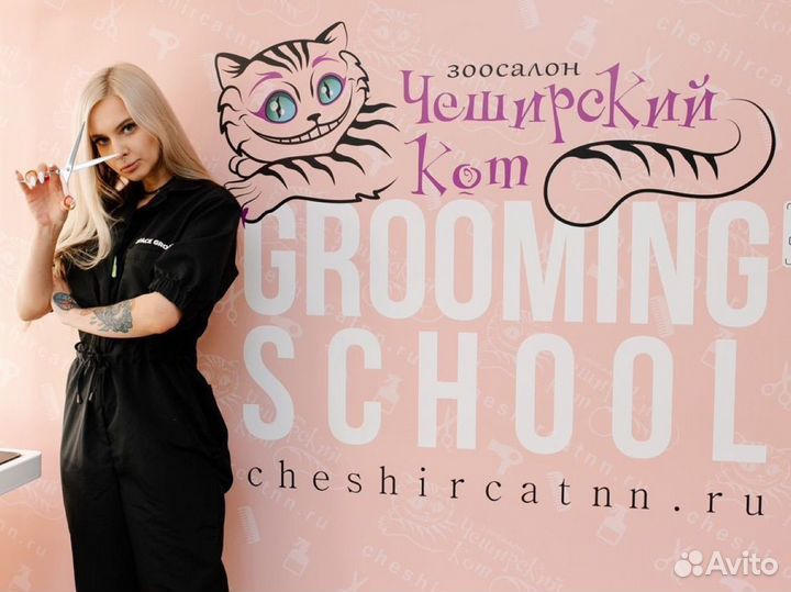 Курсы груминга