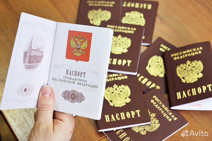 РВП, ВНЖ, Гражданство РФ, квота на РВП, нря