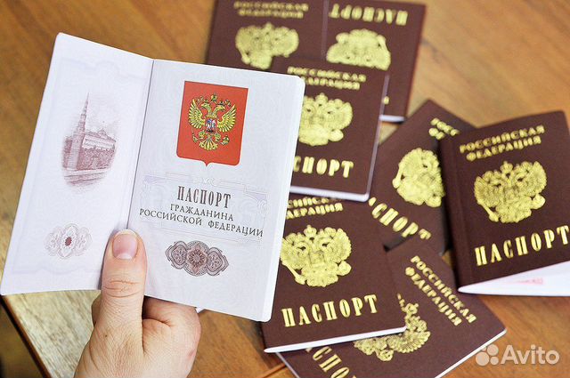 РВП, ВНЖ, Гражданство РФ, квота на РВП, нря