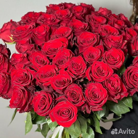 51 Роза, 70 см с Доставкой