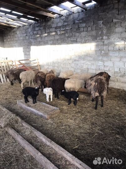 Продажа обмен на авто,мебель,ворота крс мрс